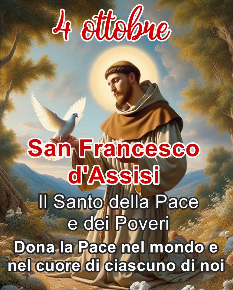 800 anni di San Francesco